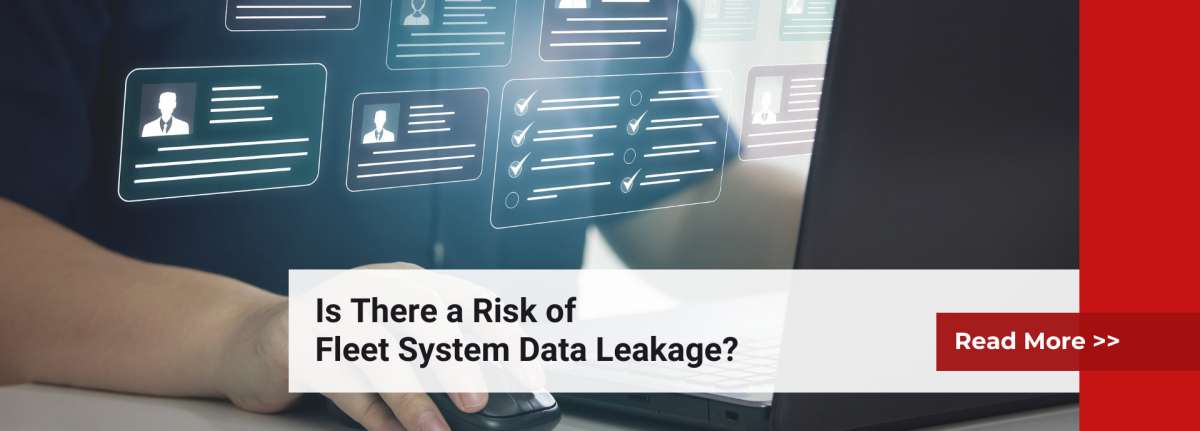 Is There a Risk of Fleet System Data Leakage