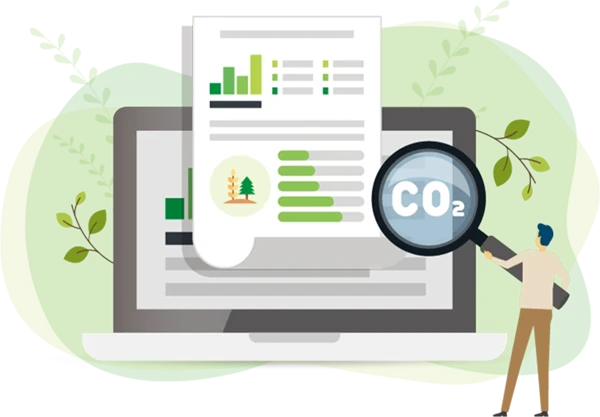 Carbon Emission Reports